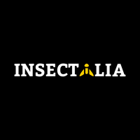 iriscarbajal-GY6dwdtt