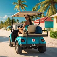 onelovegolfcart
