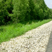 asiadrivingschoolsydneyau