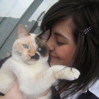 chatarina
