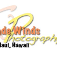 TradeWindsPhotography