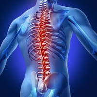 spinesurgeryindia