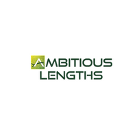 Ambitious-WpsibO