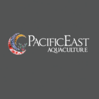 pacificea-3RjVYE