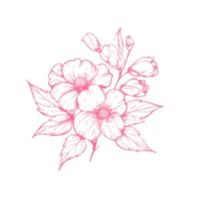cityflowe-5N18r0