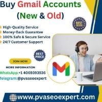 pvaseoexpert10