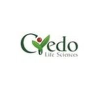 credolife-XfXSbH