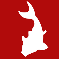 WhitefishMarketing