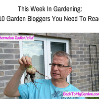 backtomygarden