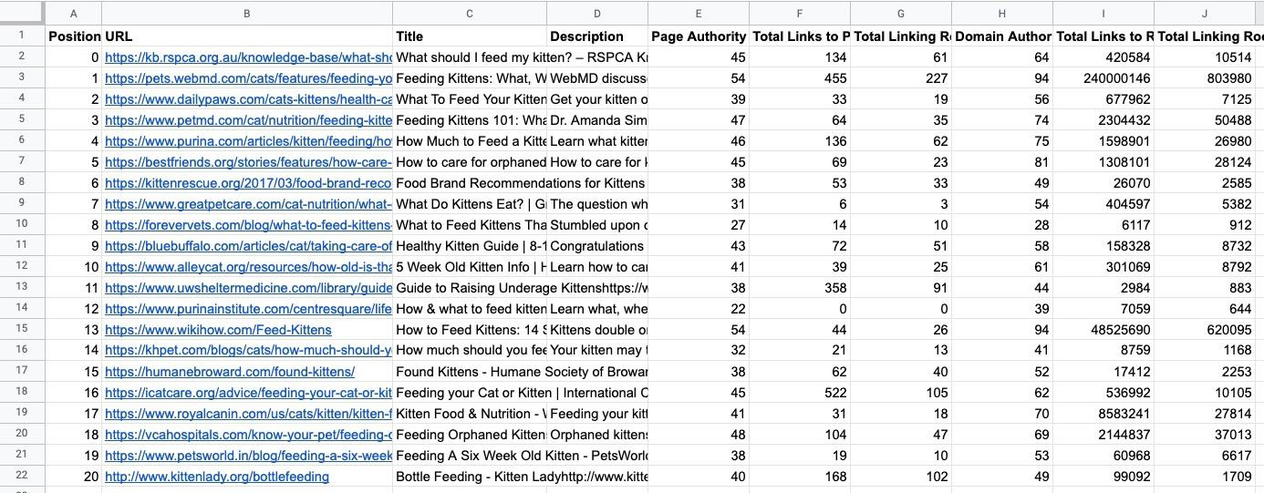 SERP analysis export