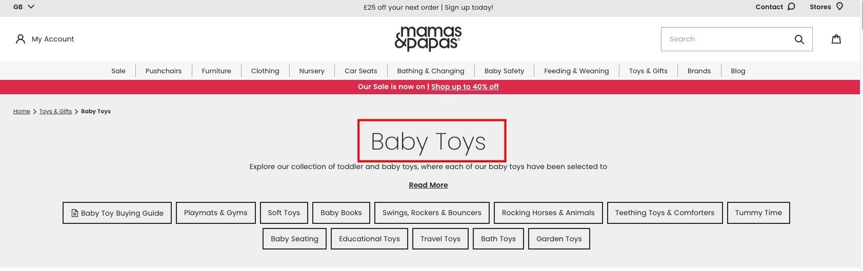 web page showing H1 tag