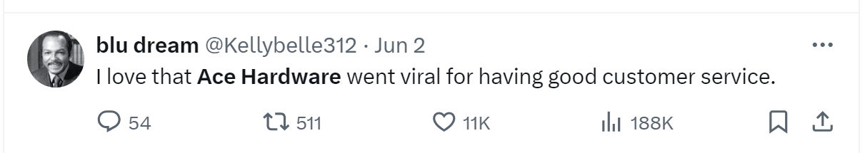 A tweet by blu dream: "I love that Ace Hardware went viral for having good customer service."