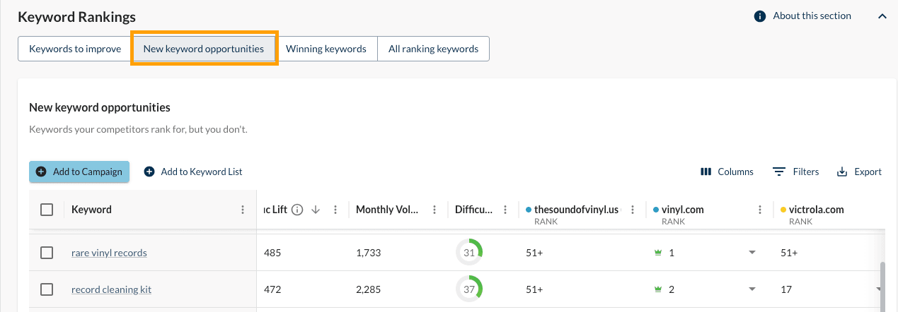 Screenshot of Keyword Gap's New Keyword Opportunities view.