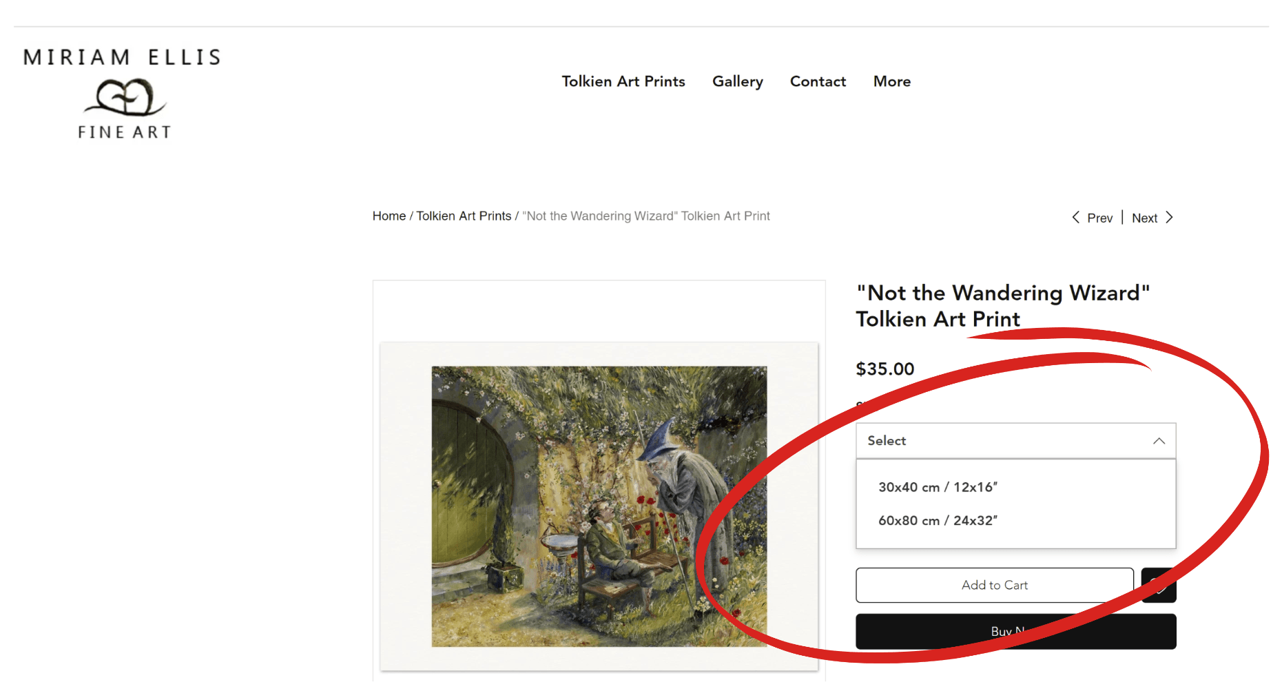 Miriam Ellis's fine art website offering dimensions in both centimeters and inches
