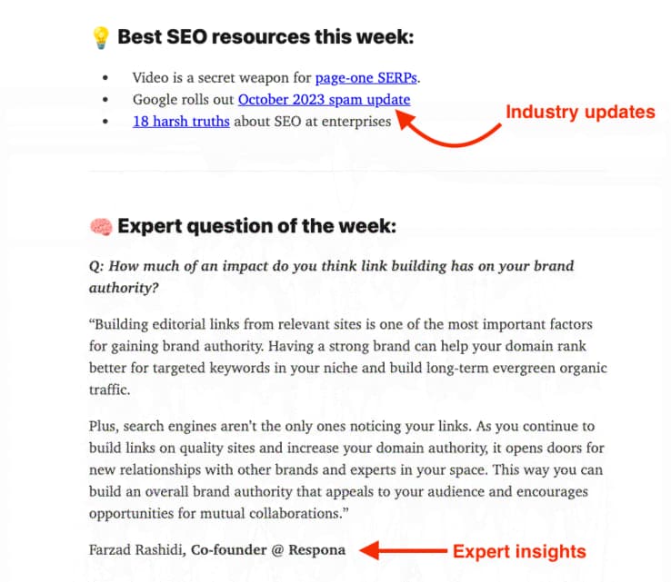 SEO Power Plays newsletter helpful content example switch expert insights and industry updates.