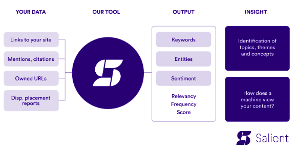 Salient, a free-to-use tool that measures the relevance of your content.