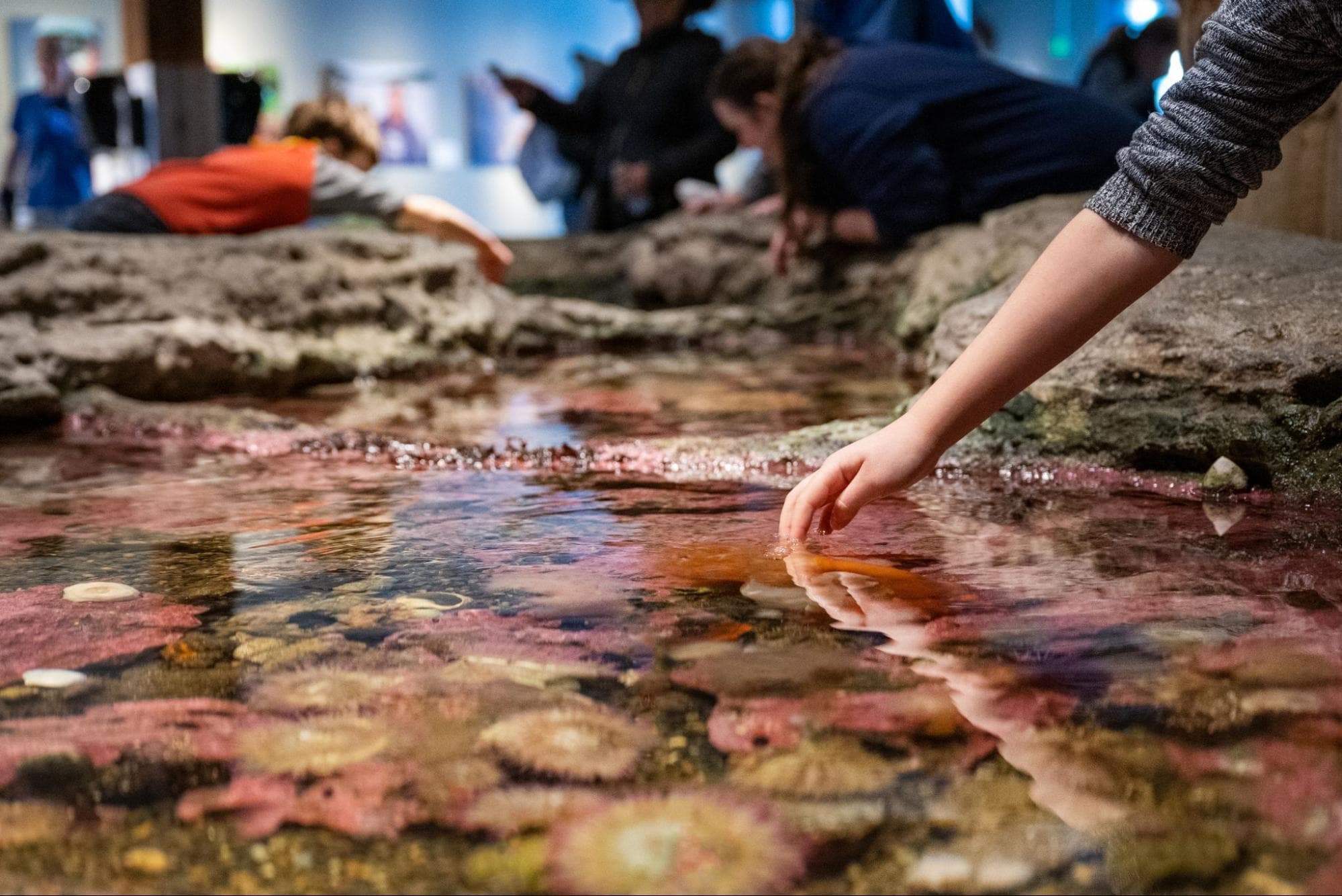Seattle aquarium