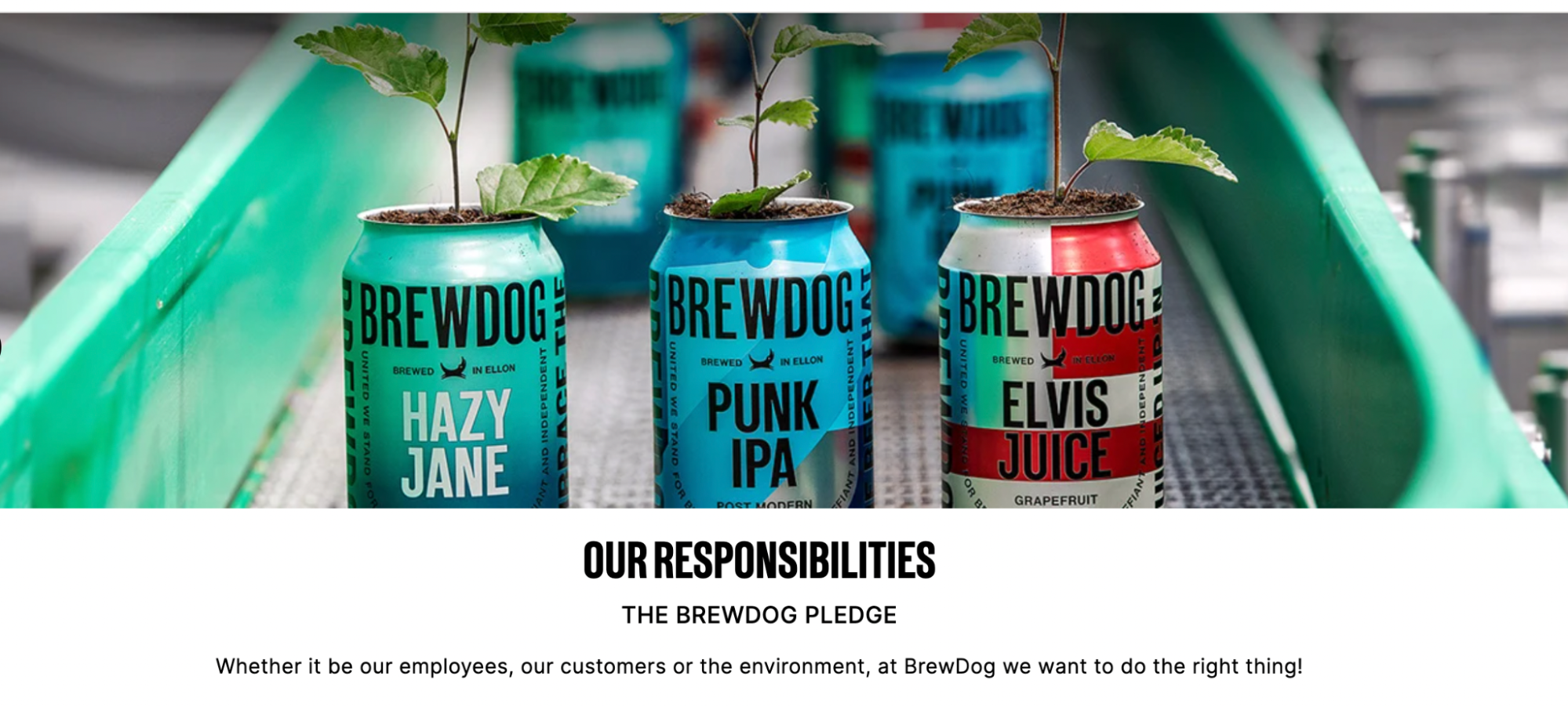 Screenshot of BrewDog