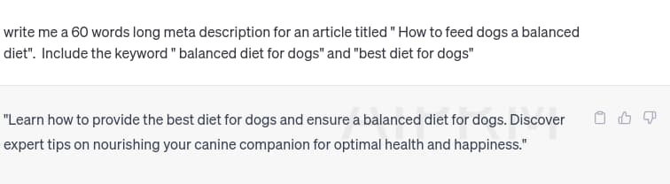 ChatGPT written meta description after prompt