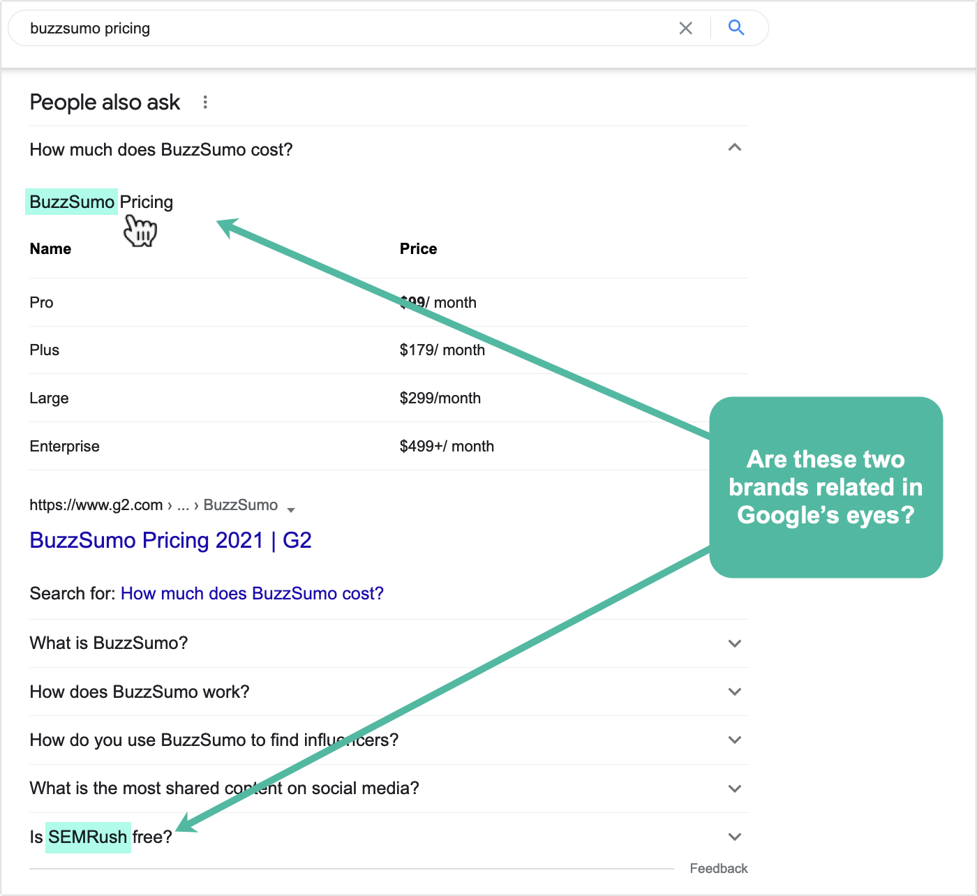 Screenshot of a People Also Ask suggestion box for the search query 'Buzzsumo pricing'.