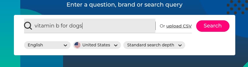 AlsoAsked interface showing search query example