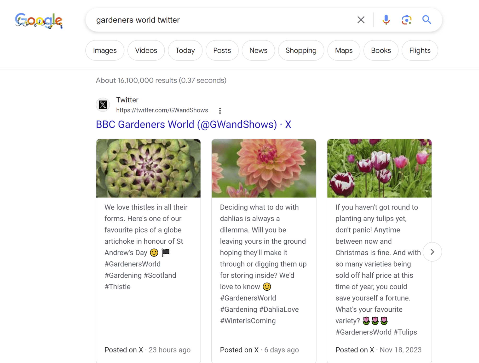 images of flowers from social media account