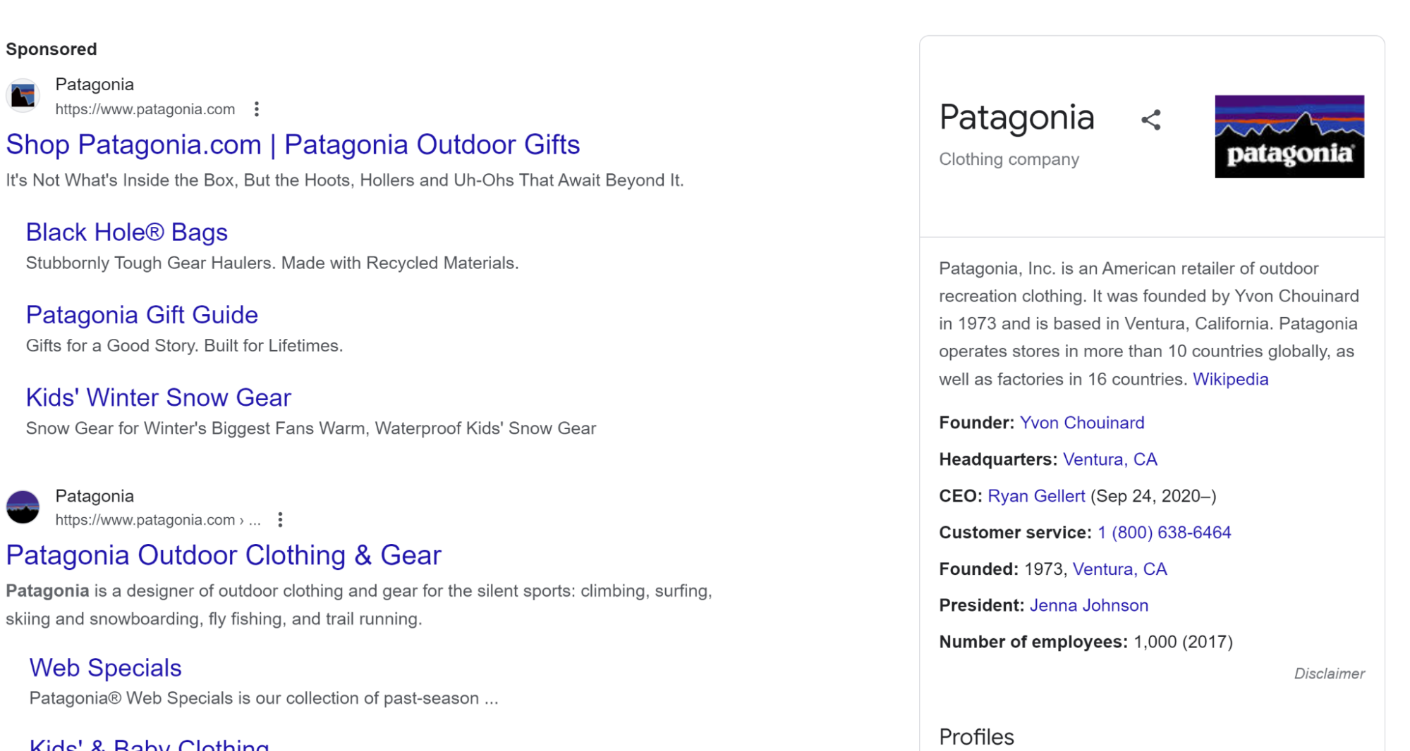 an example of a brand Knowledge Panel result for Patagonia