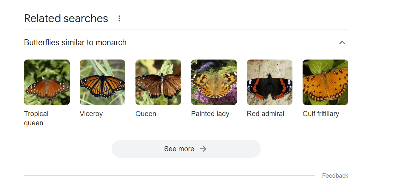 Related searches results can feature lots of images