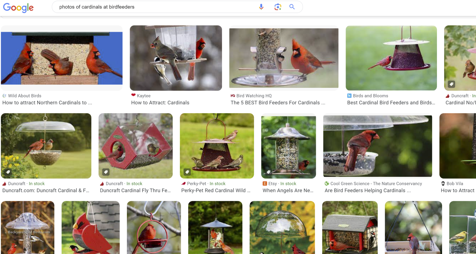 A sampling of the billions of images contained in Google Image search, in this case, of multiple birdfeeders.