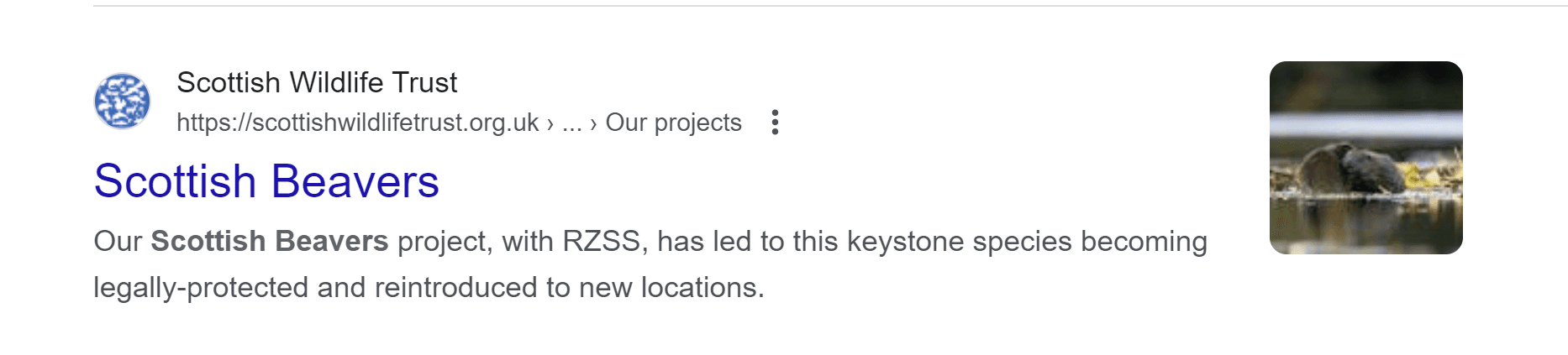 A regular organic result with a thumbnail image at right.