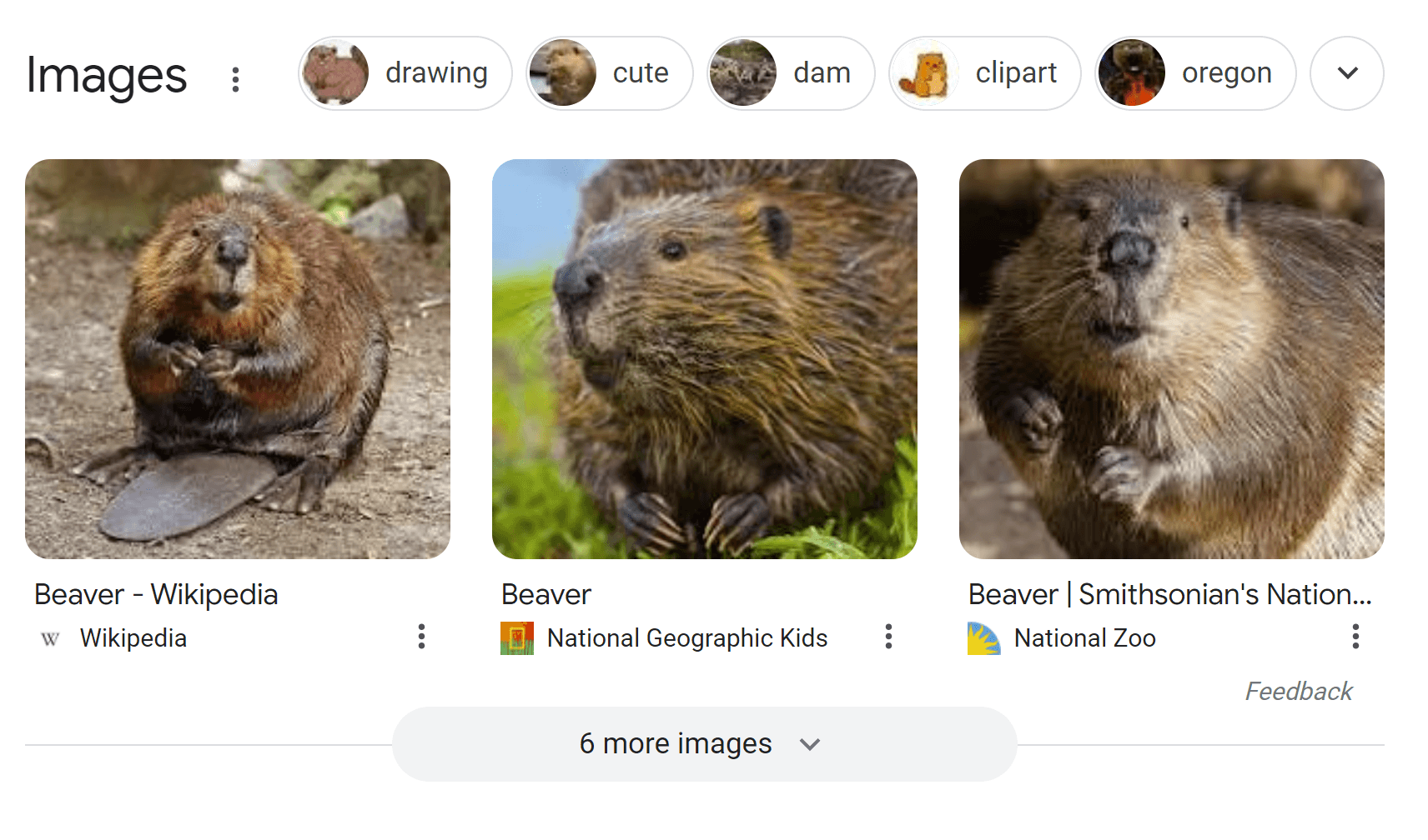 Some google results are officially labeled "images" and contain multiple images within a dropdown.