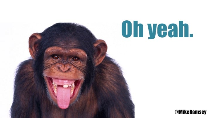 monkey