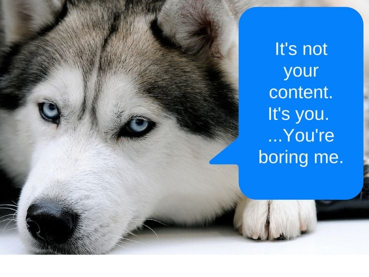 dog bored by content