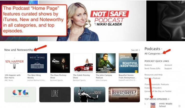 Screenshot of podcast home page in iTunes.