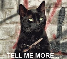Cat filing its claws, bored.